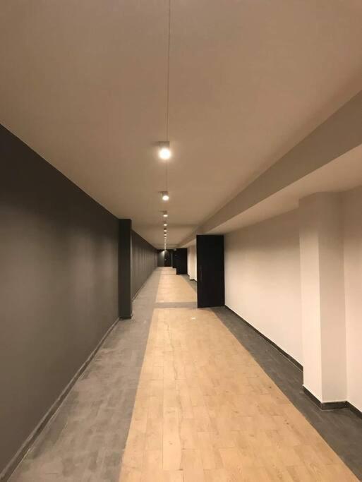 Spacious and Modern Apartment in Central Tbilisi view 3