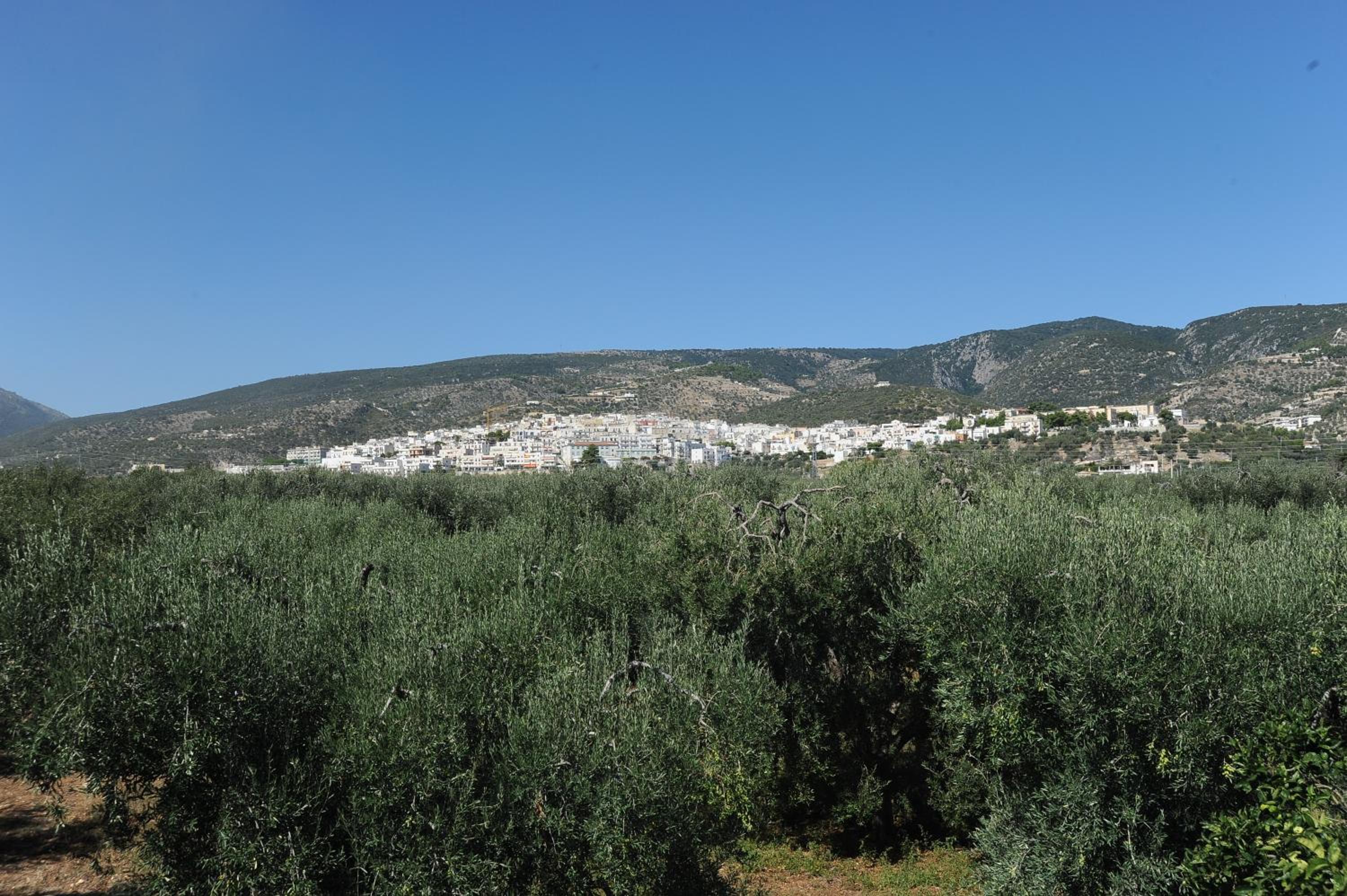 Villa Carmine en Mattinata