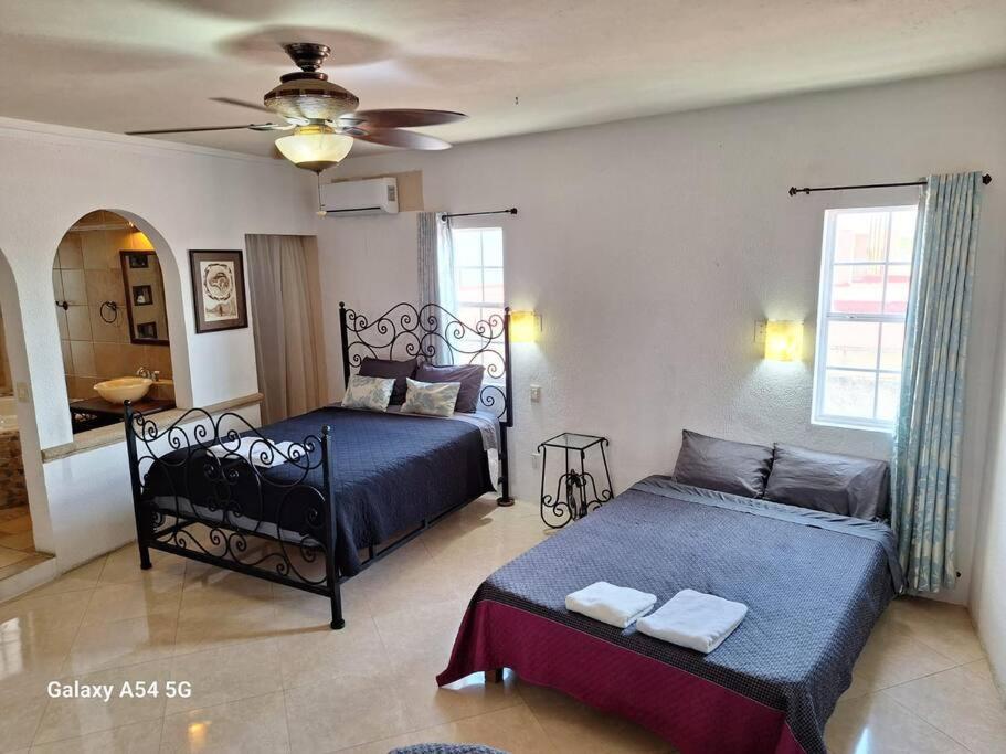 Casa para mas 20 personas con alberca en su interior