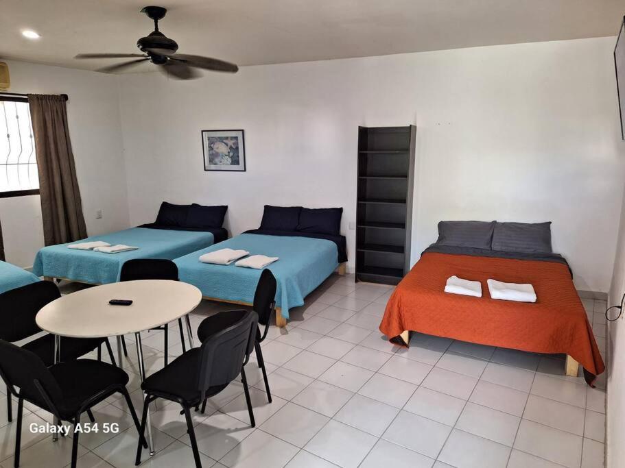 Casa para mas 20 personas con alberca en su interior