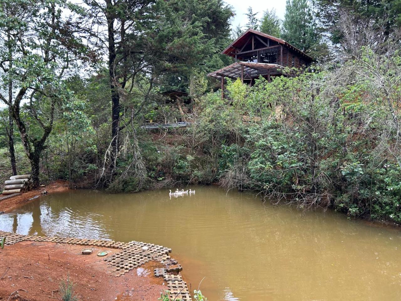 Cabaña El Silencio