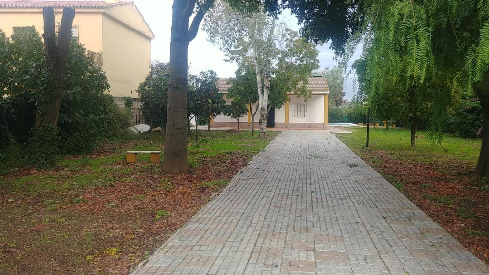 Lo Conseguí