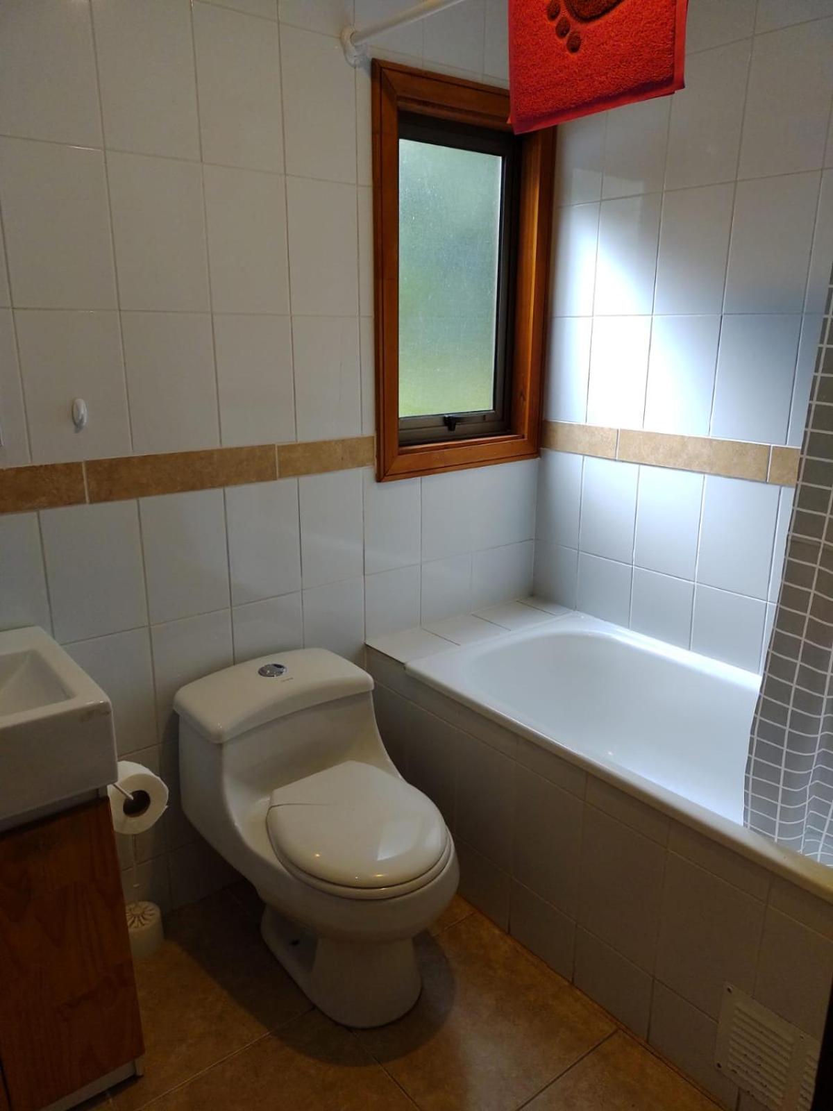 Cabañas Pucon Mahuidanche