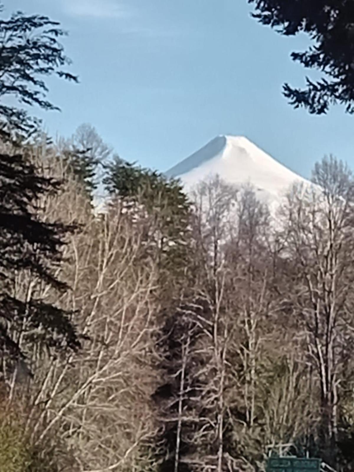 Cabañas Pucon Mahuidanche