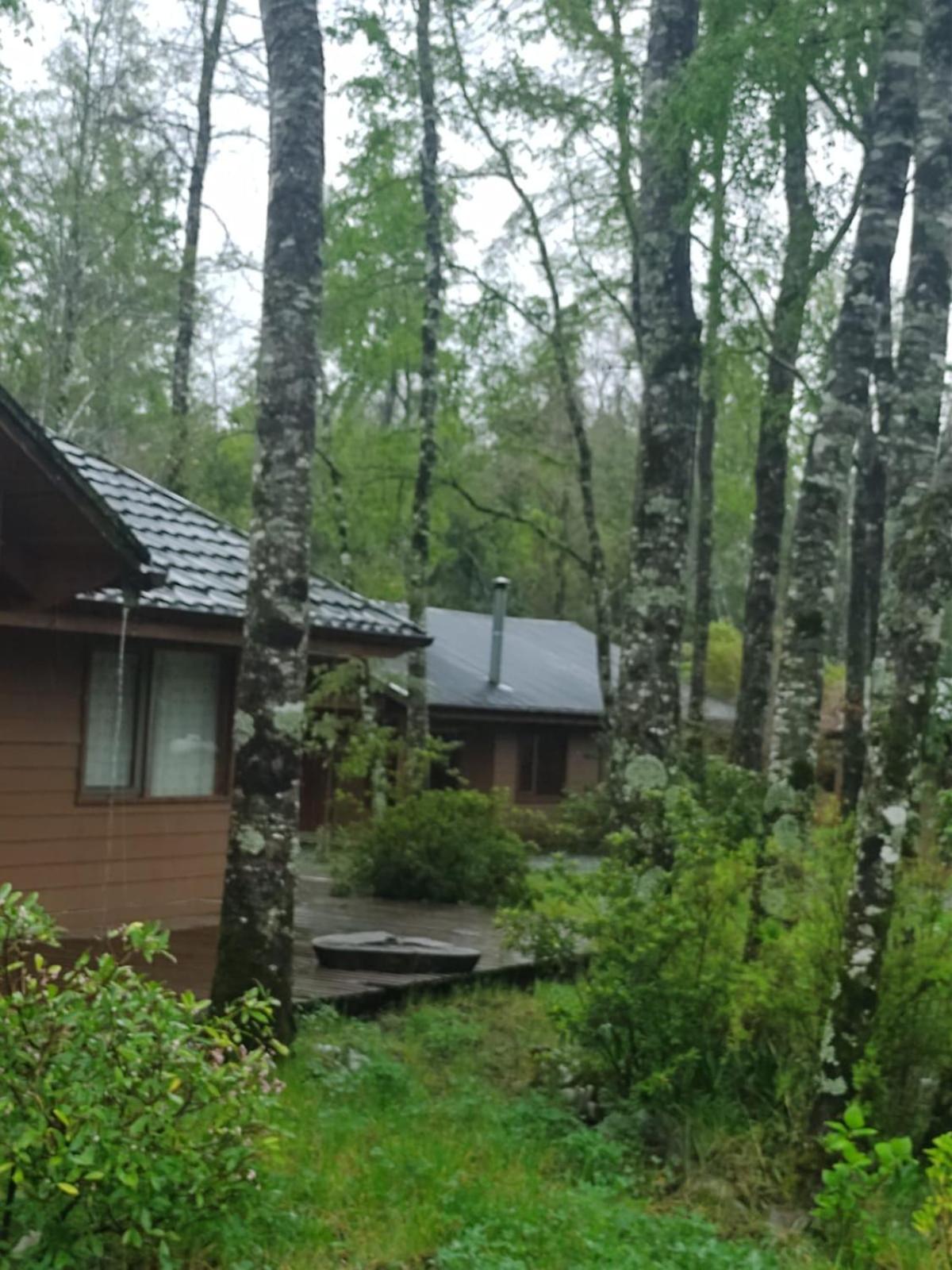 Cabañas Pucon Mahuidanche