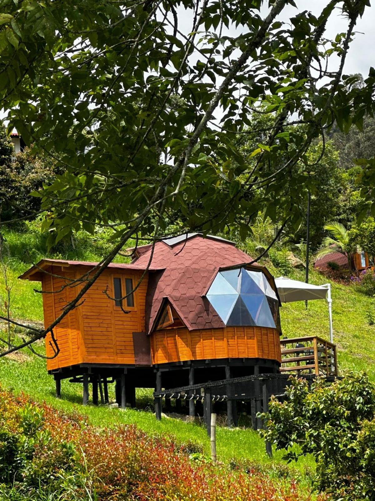 Glamping Shalom
