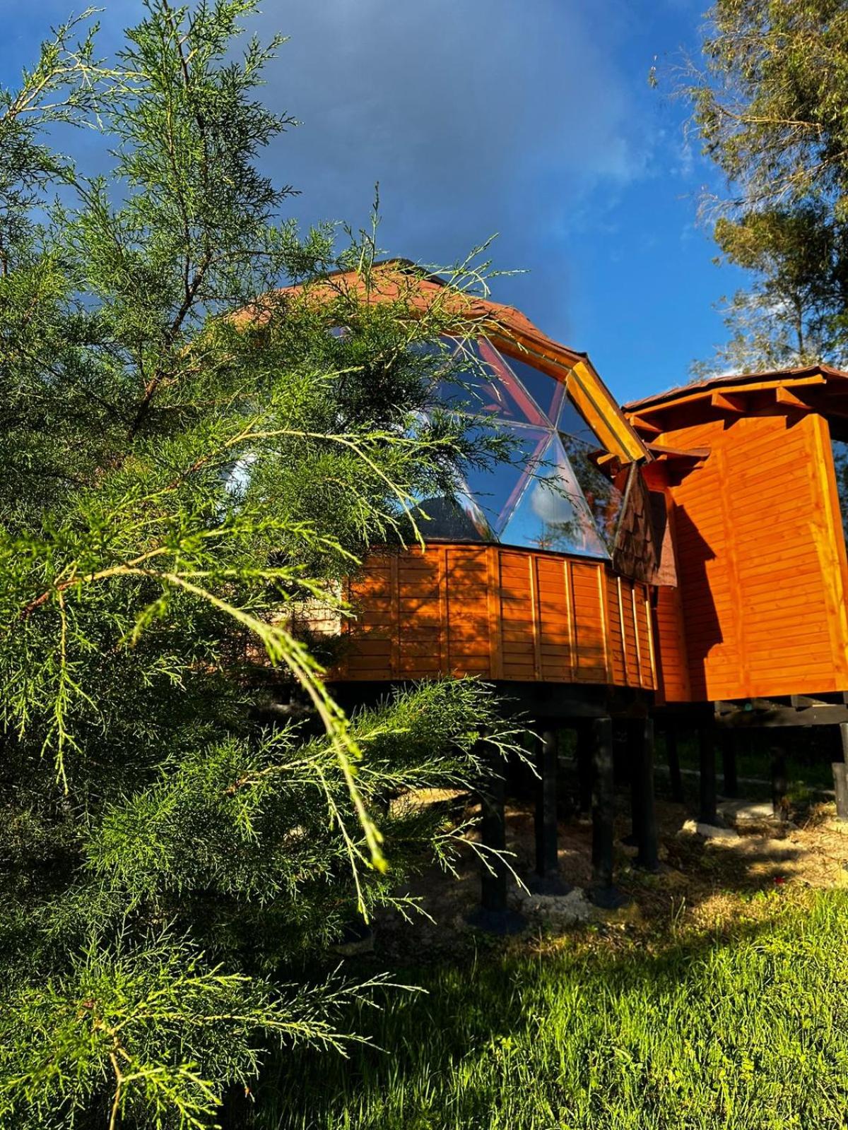 Glamping Shalom