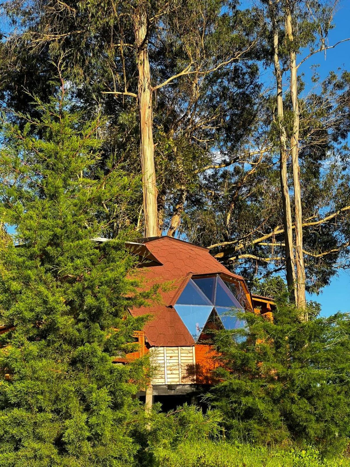 Glamping Shalom