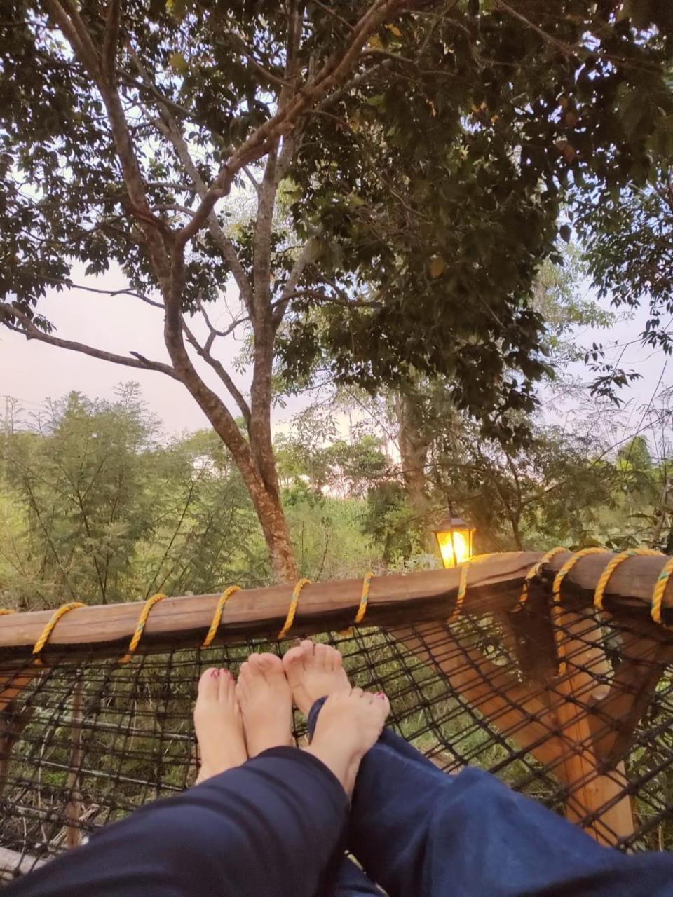 Glamping el nido