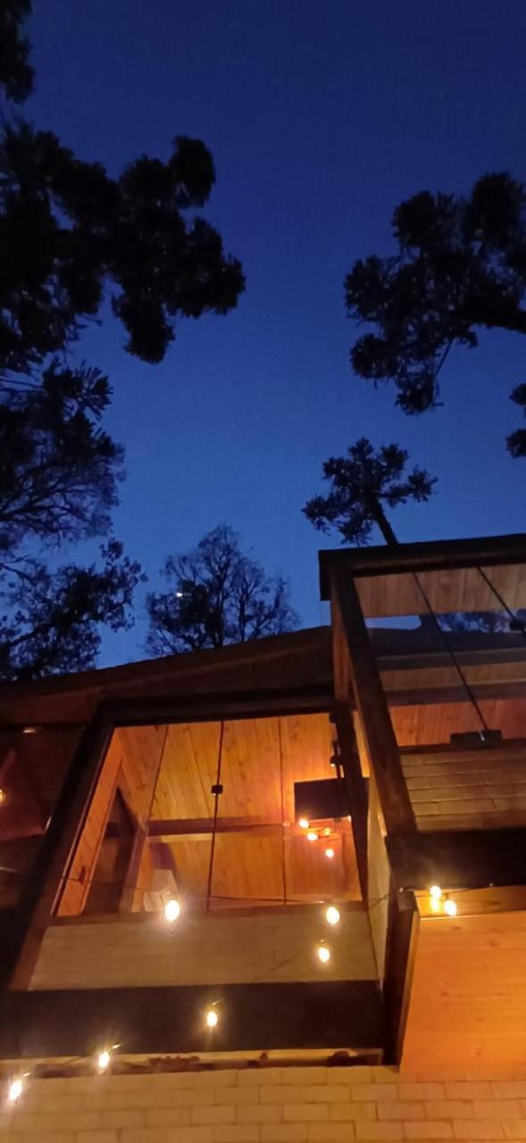 Eco Cabanas Kaapuã - Cabana Mandaçaia
