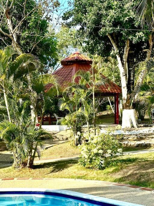 Casa finca - La Carolina