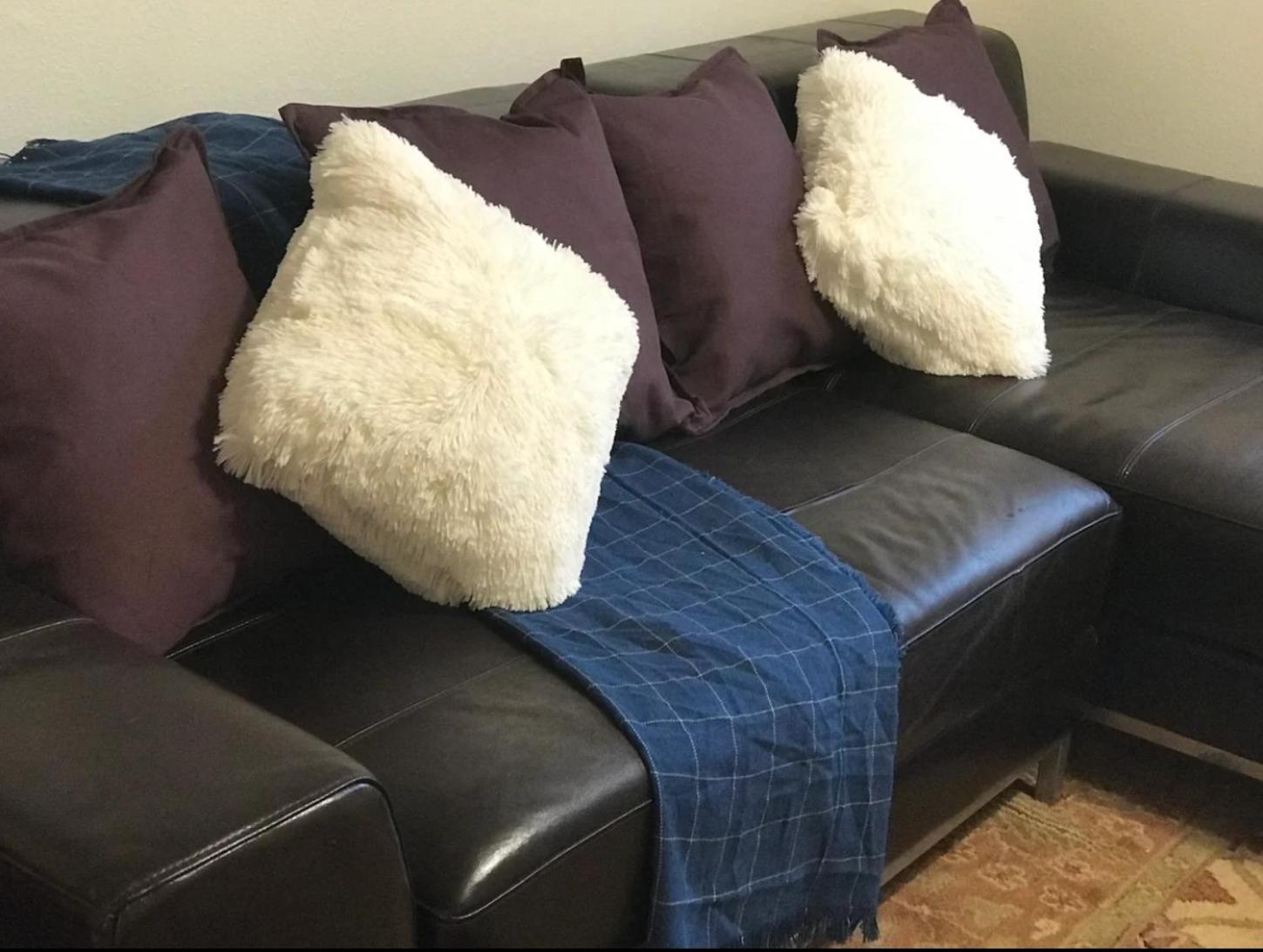 Cozy Remodeled Apartment near Green Bay & Appleton view 5