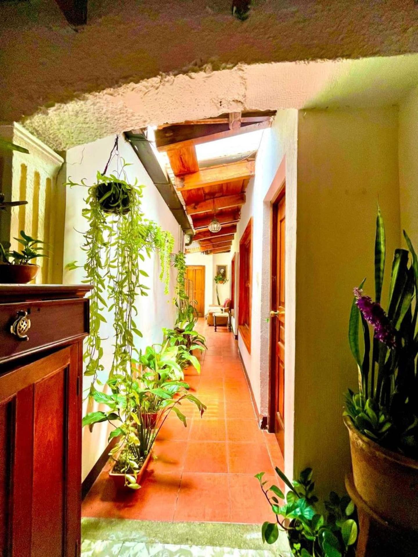 La casita de Charlie view 4