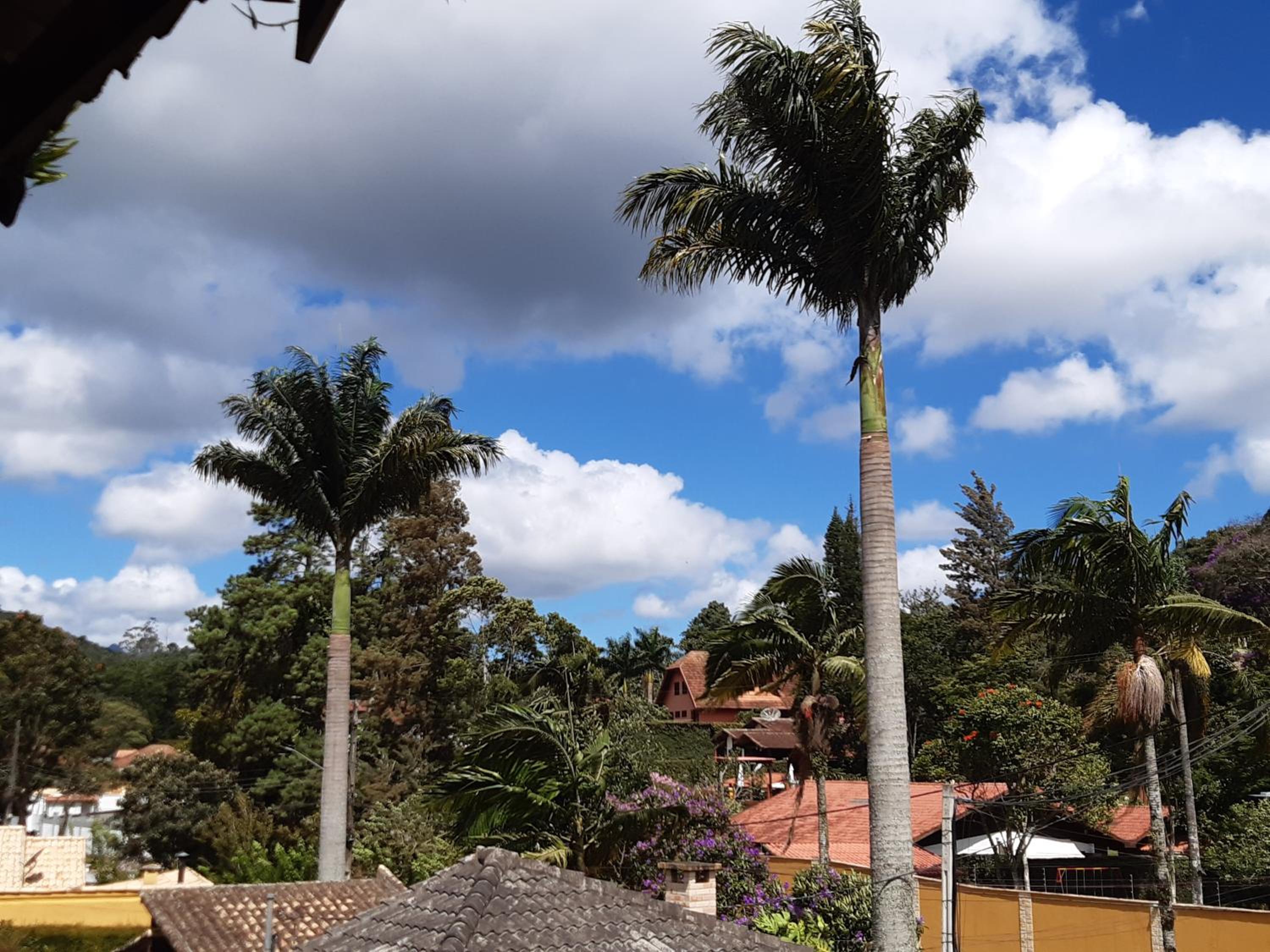 Pedacinho do céu