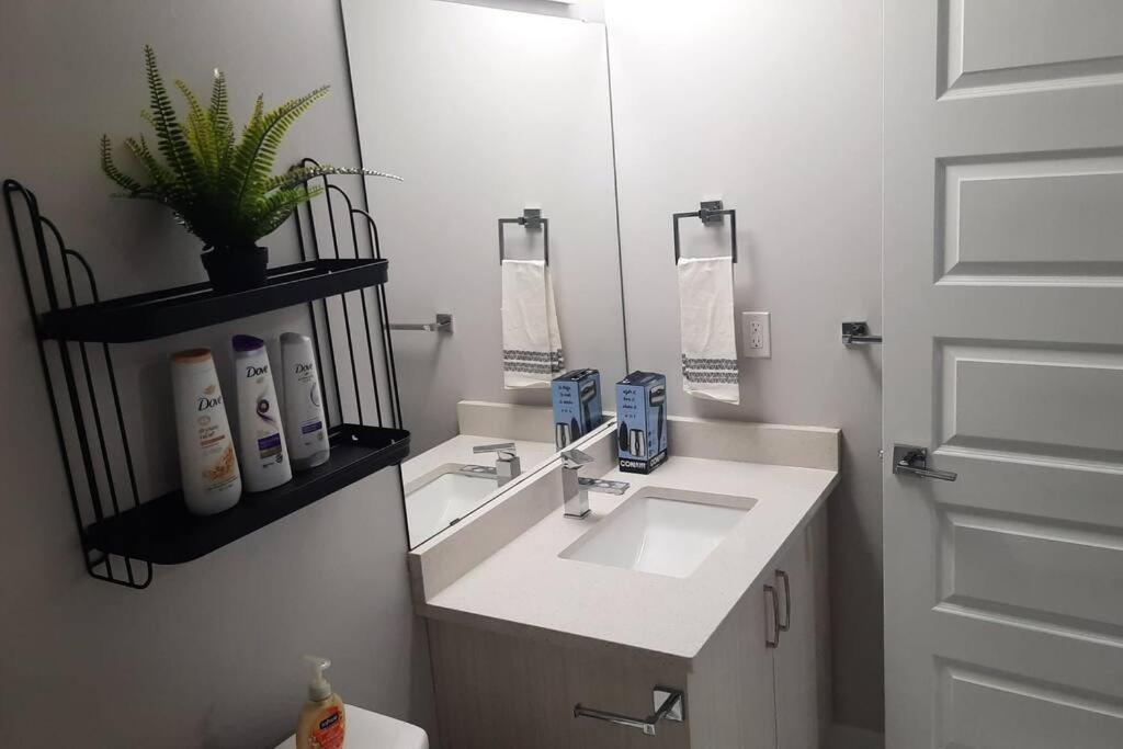 Carsonway Basement Suite