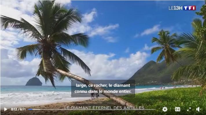 Mon Diamant Tropical