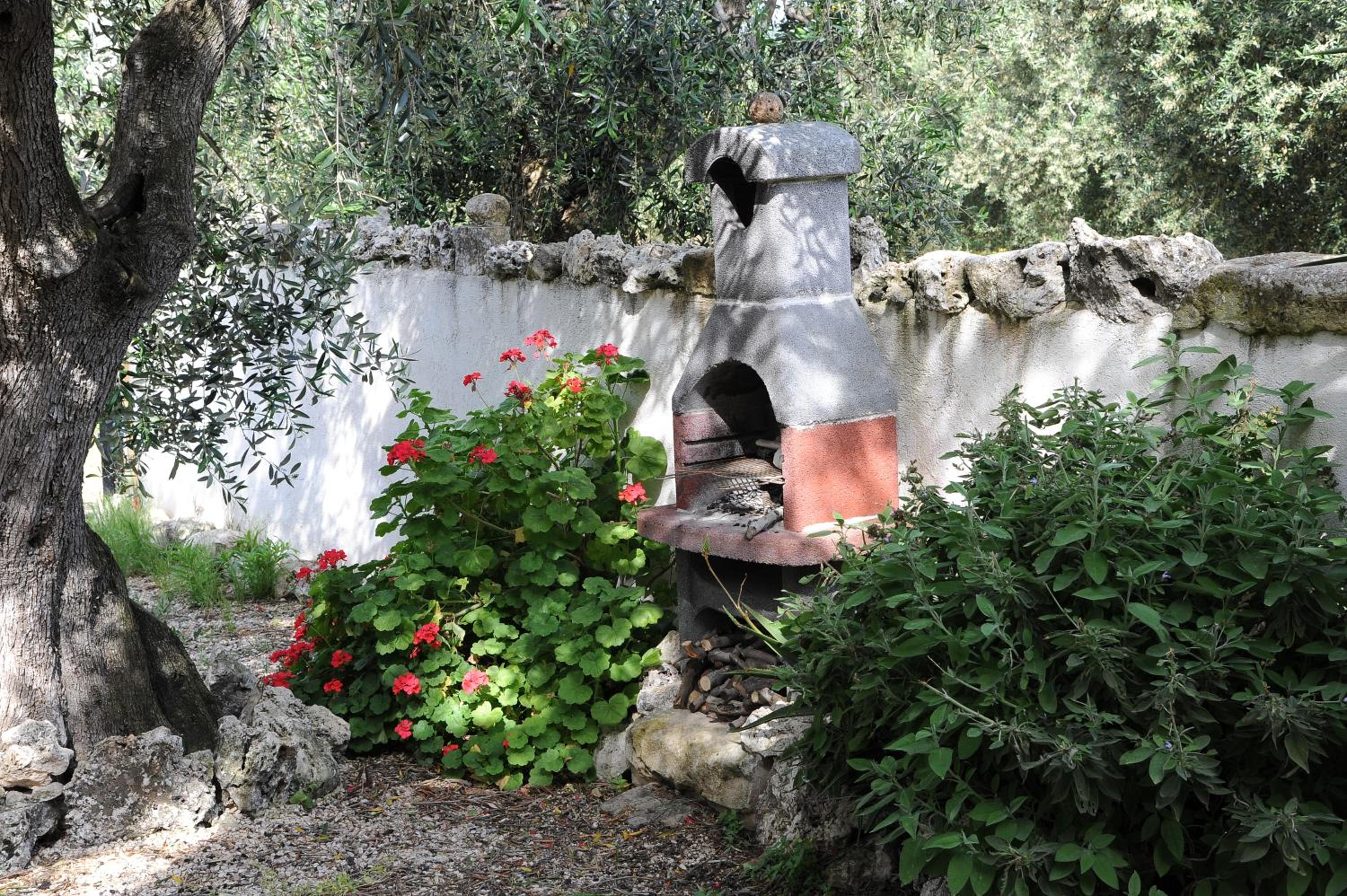 Photo 24