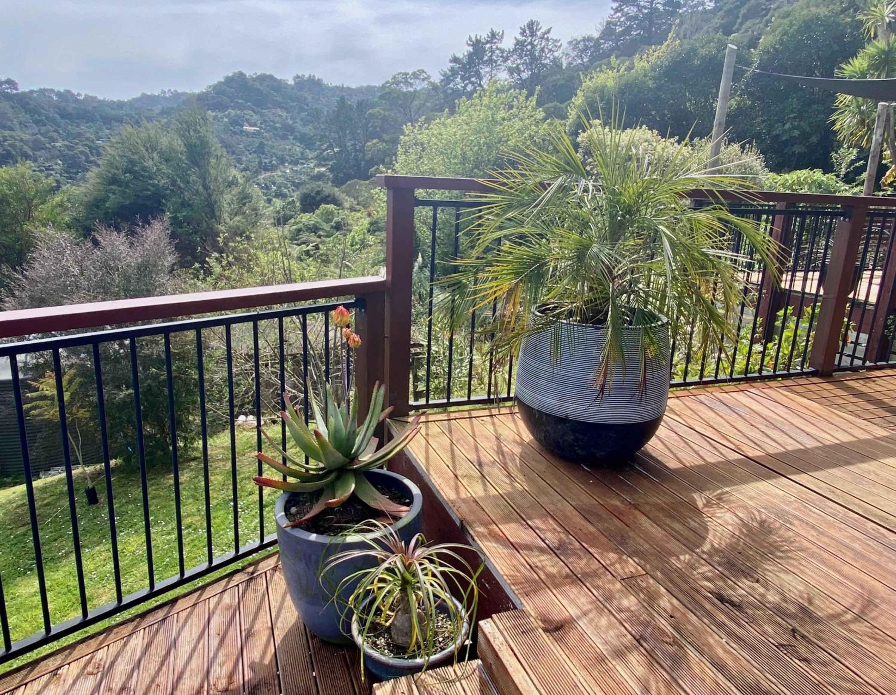 Fantail Hill