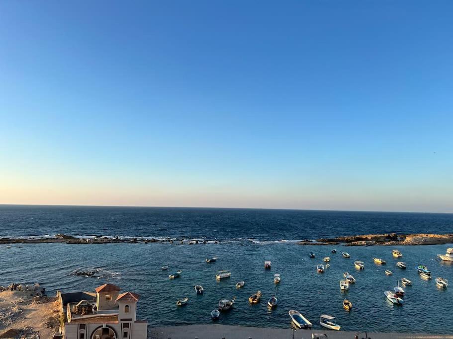 Wonderful 3 Bedrooms Apartment For Rent In Miami Alexandria Direct On Sea