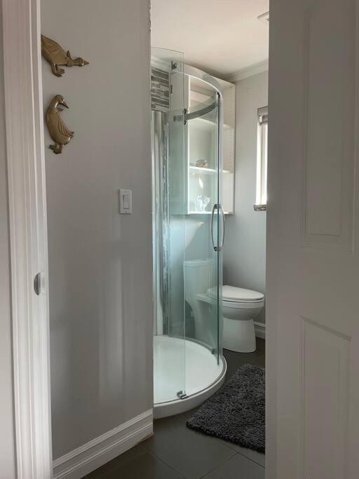 Cheerful exclusively whole house 3bedroom 3bath