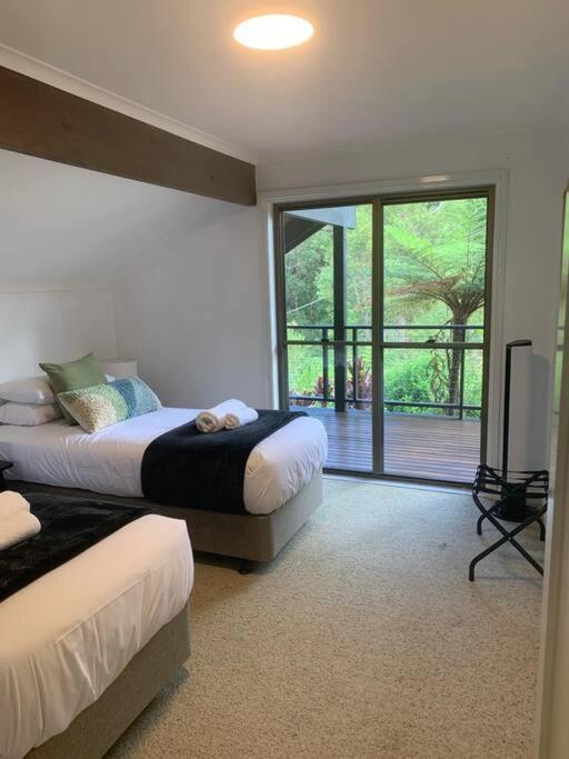 Cloud Valley Estate -Chalet