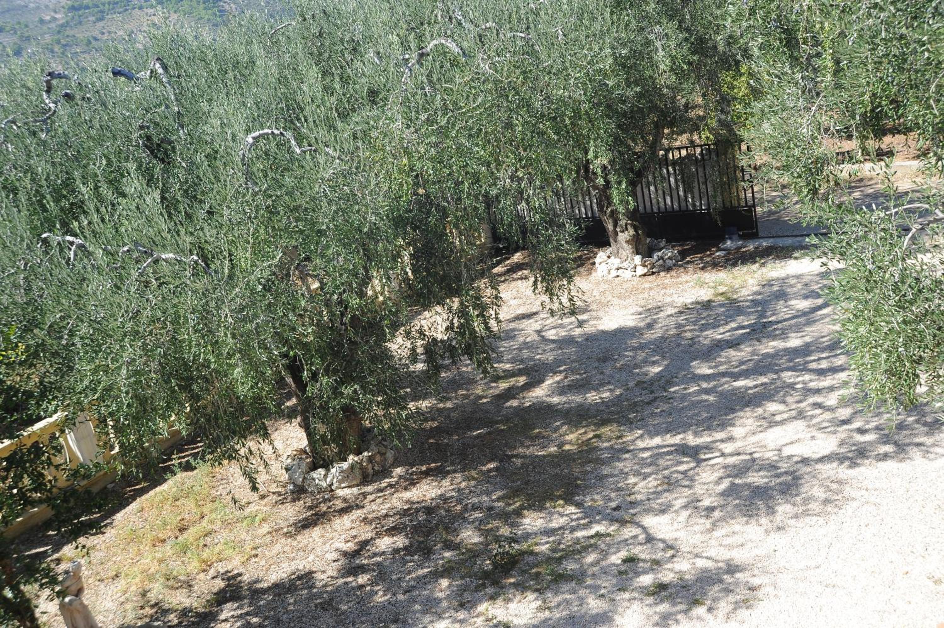 Villa Carmine