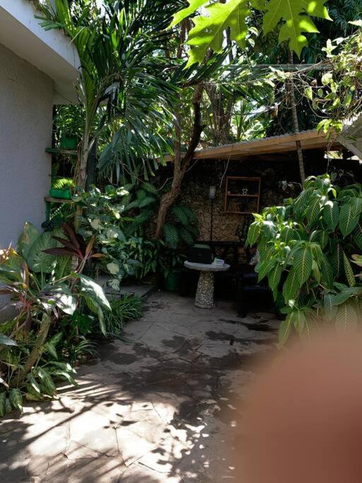 Imani home