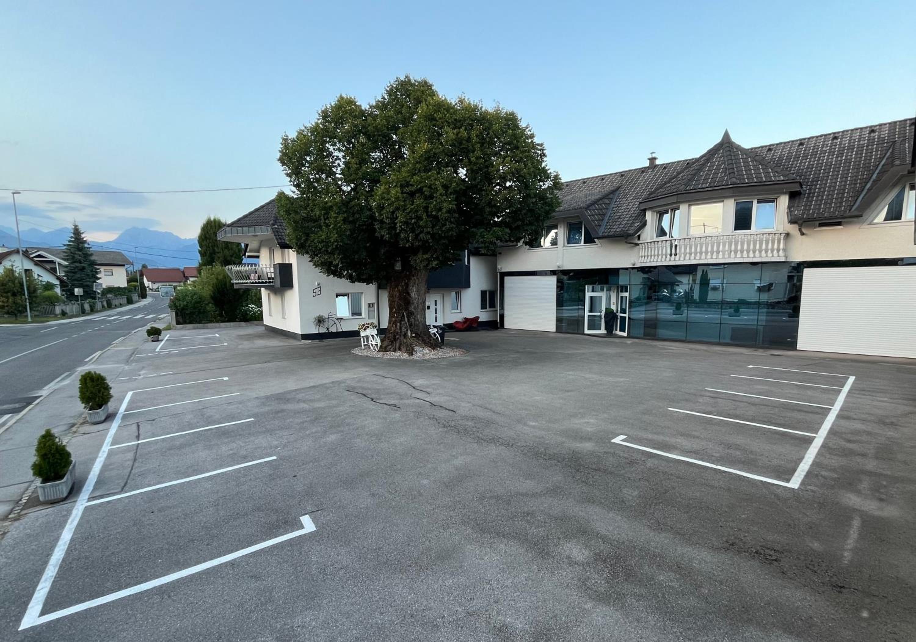 Apartments Old Linden Tree view 3