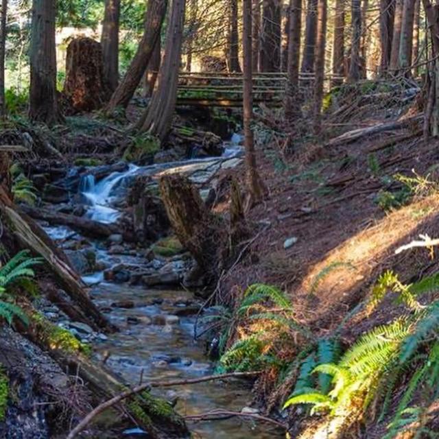 Hidden Creek Hideaway