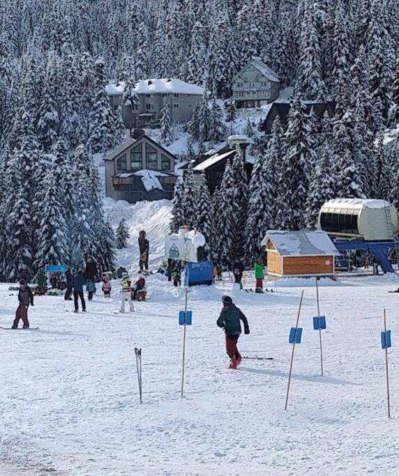 Premium Chalet w Hot Tub, Steam Shower, GENERATOR, 6BR 4BA Ski in Ski out