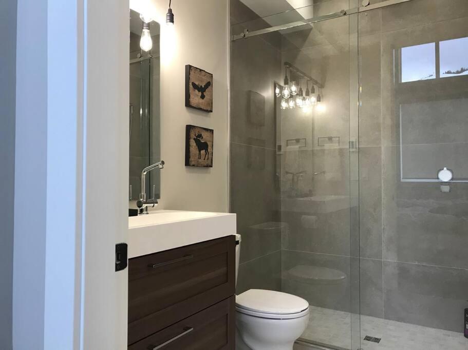Premium Chalet w Hot Tub, Steam Shower, GENERATOR, 6BR 4BA Ski in Ski out