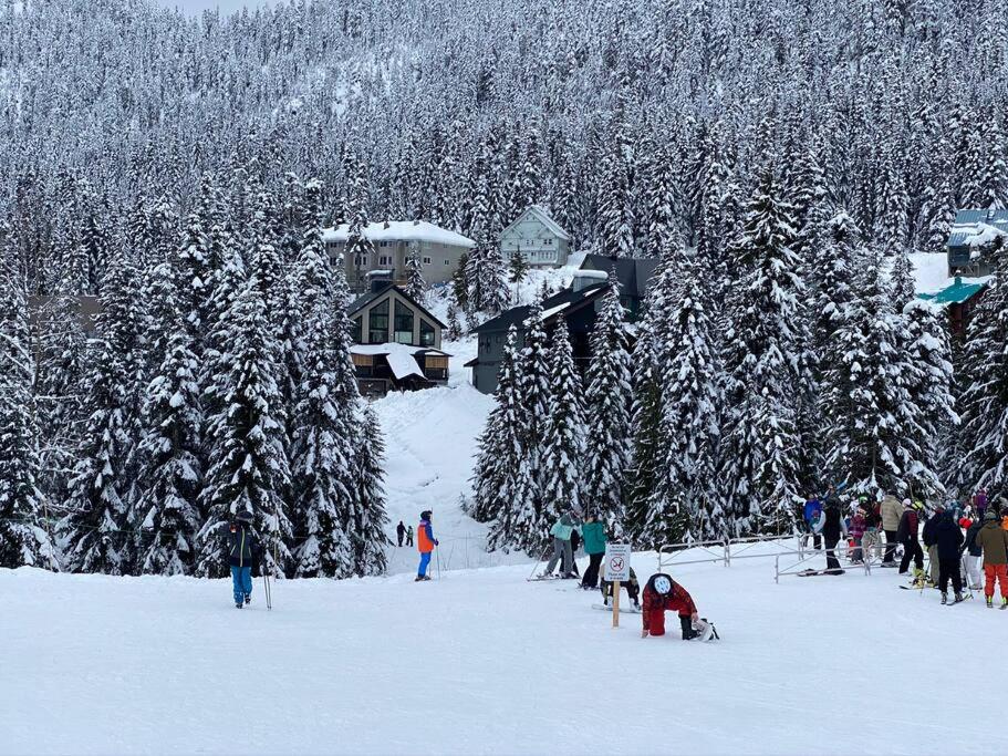 Premium Chalet w Hot Tub, Steam Shower, GENERATOR, 6BR 4BA Ski in Ski out