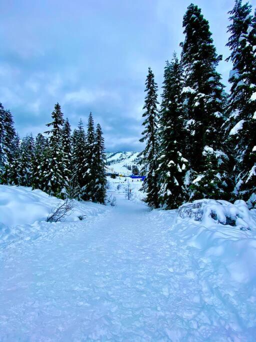 Premium Chalet w Hot Tub, Steam Shower, GENERATOR, 6BR 4BA Ski in Ski out