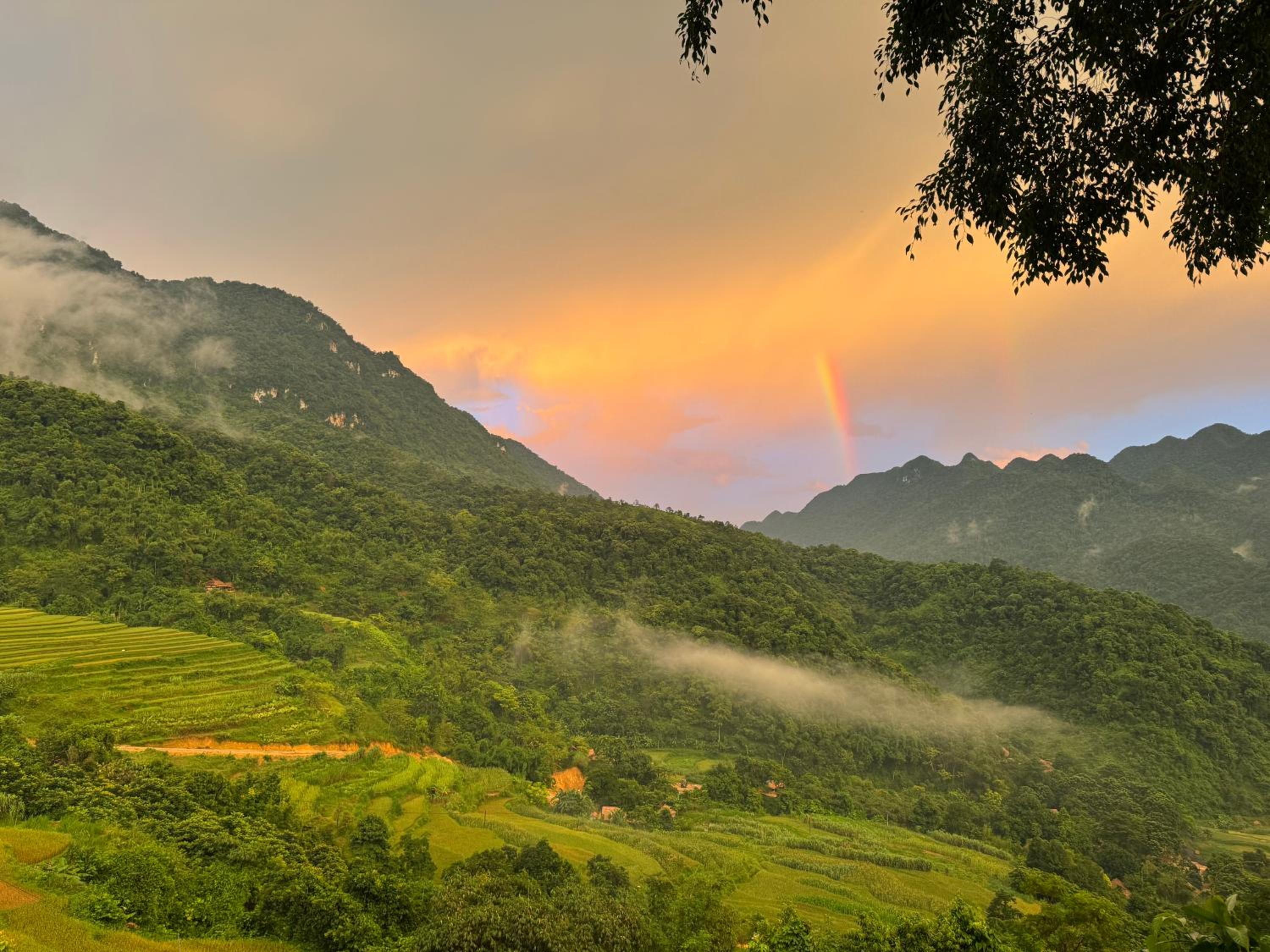 Pu Luong - Duy Phuong Homestay