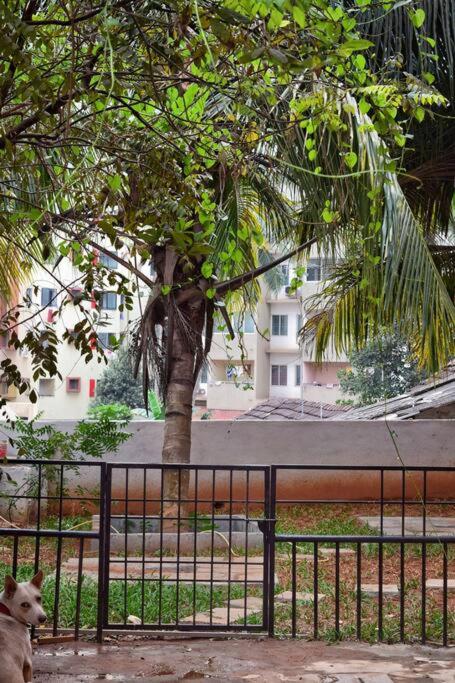 Charisma Homestay