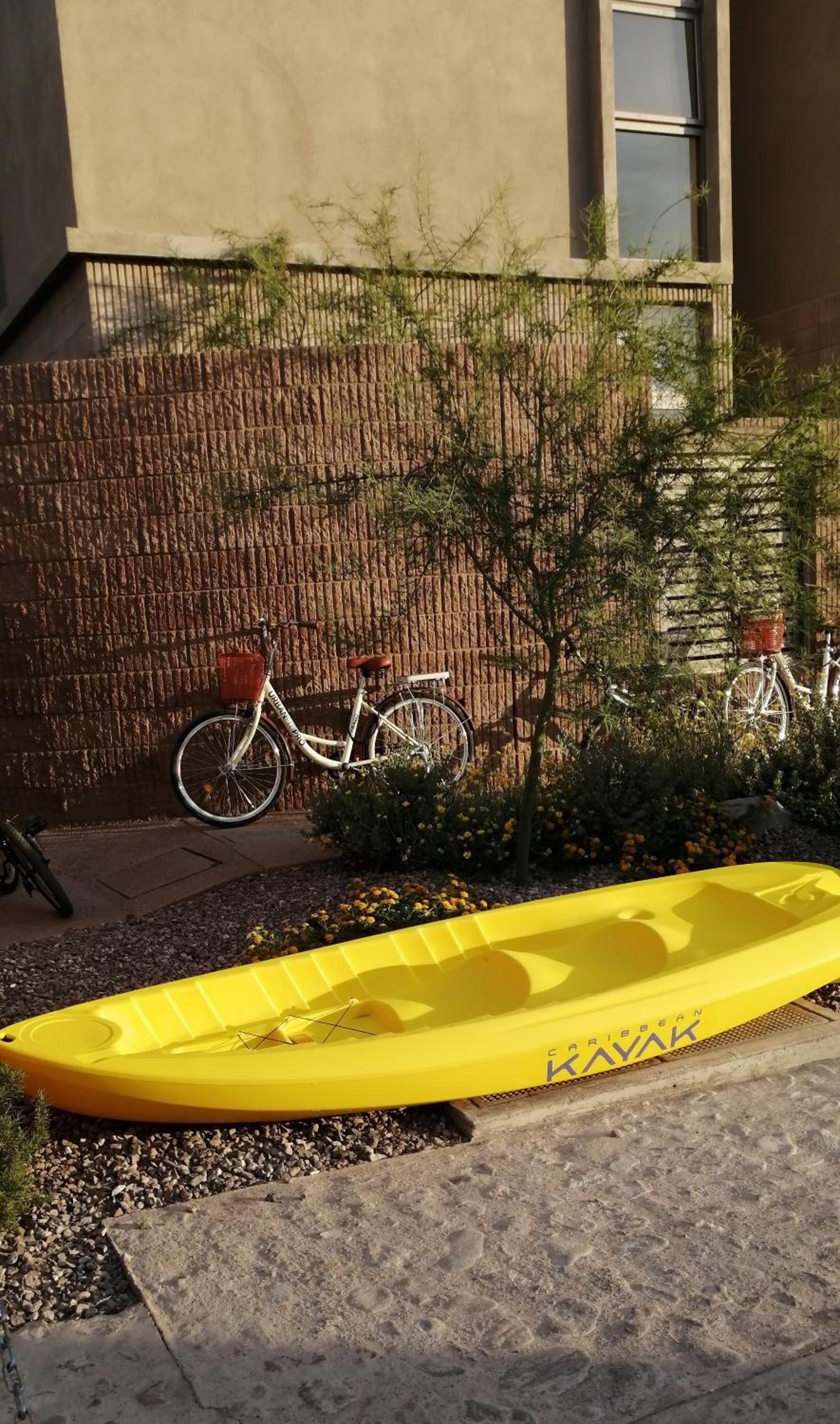 activities & amenities