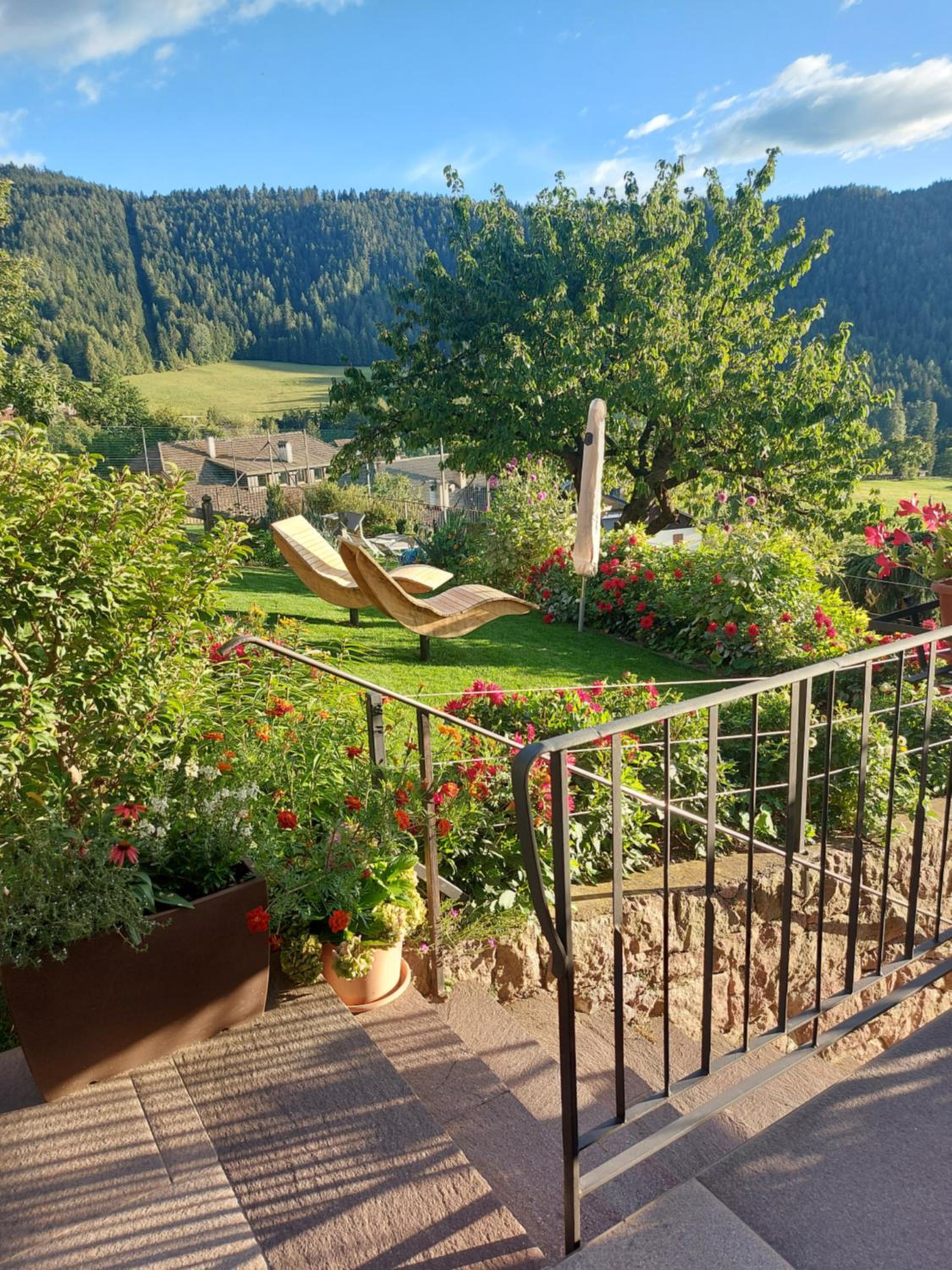 Alpenrose