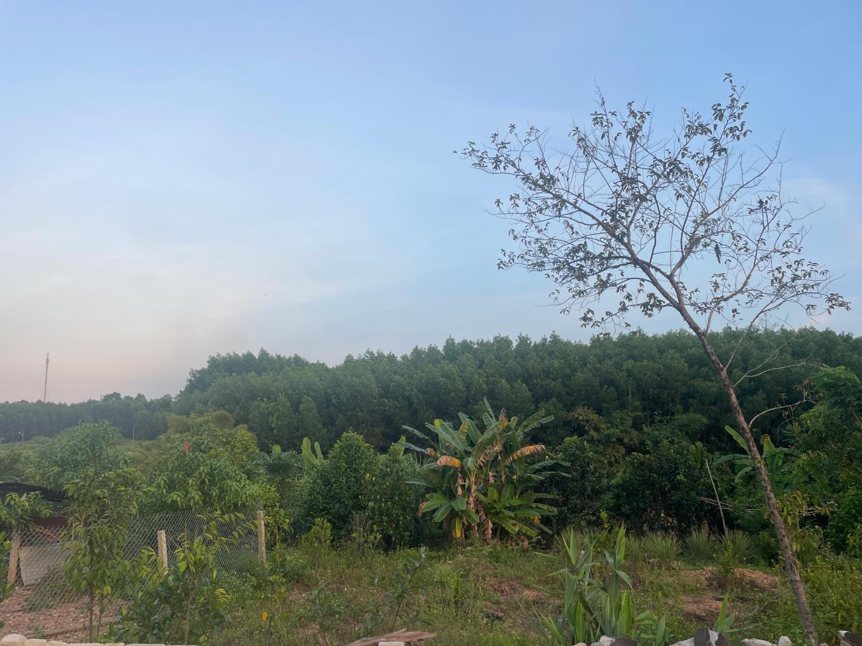 Hue Farmstay and Camping view 3