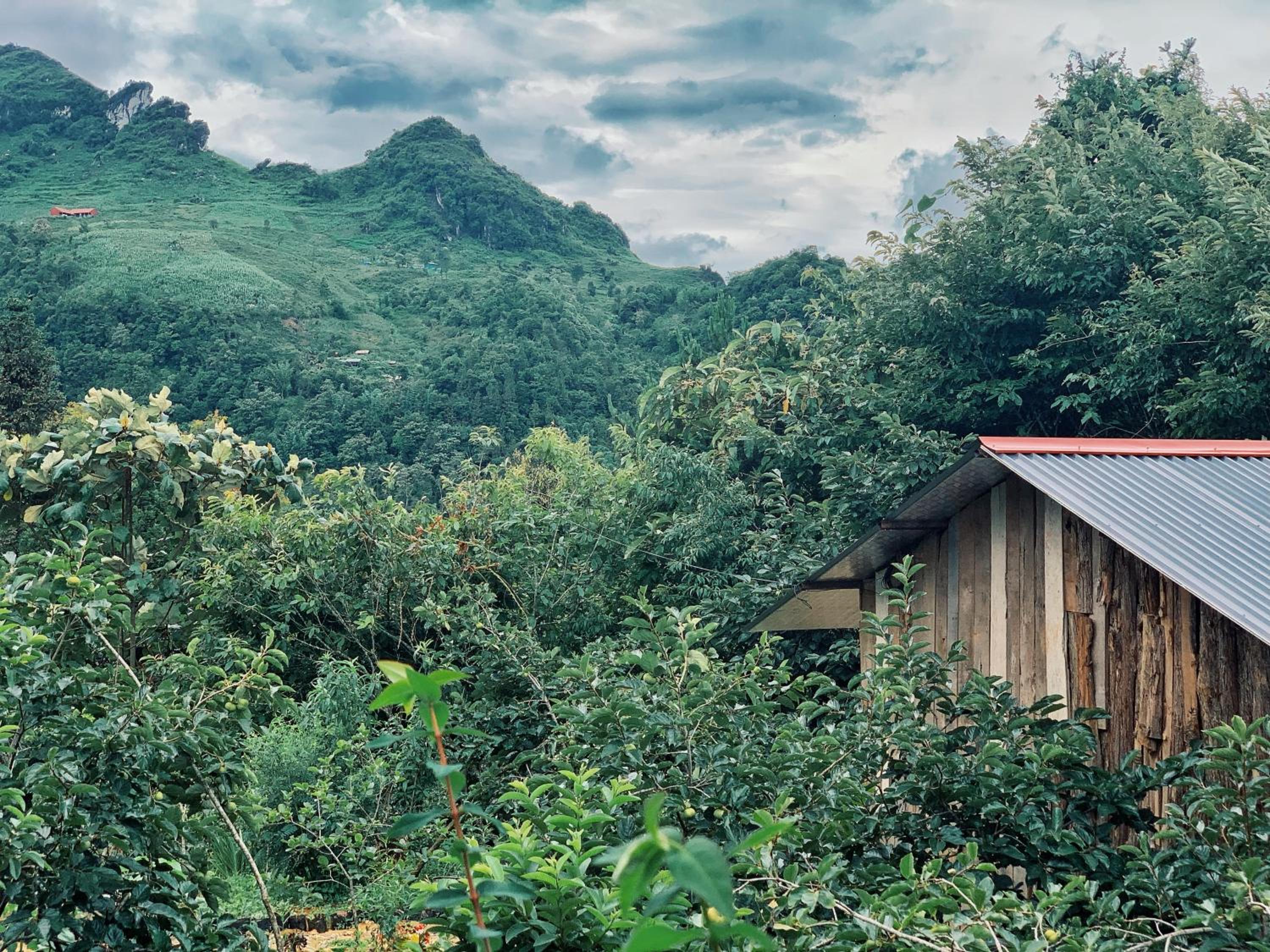 Private House in SaPa centre & Kitchen