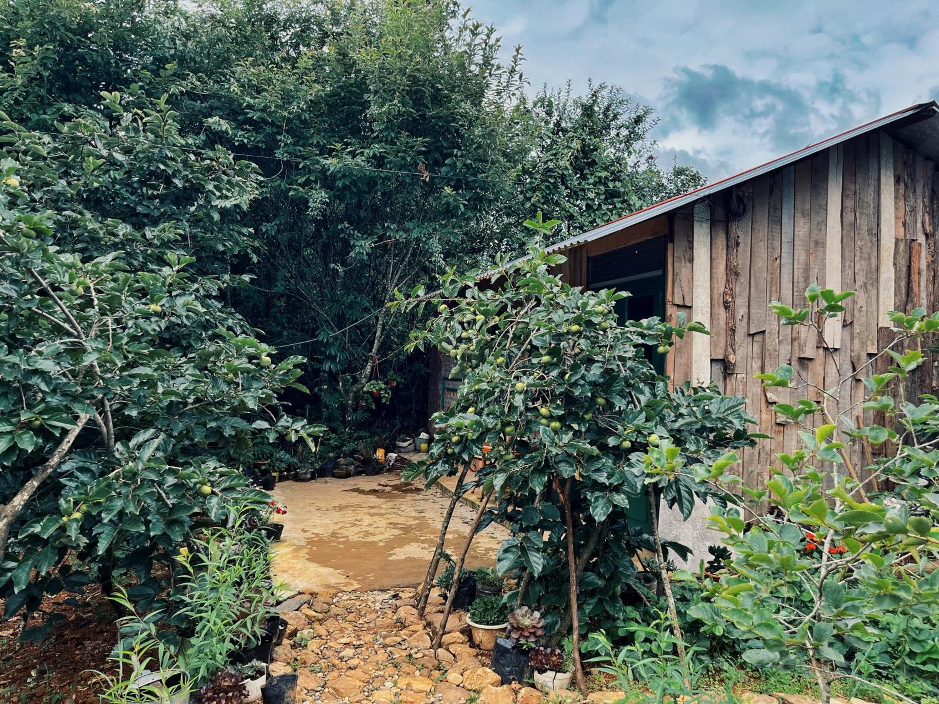 Private House in SaPa centre & Kitchen