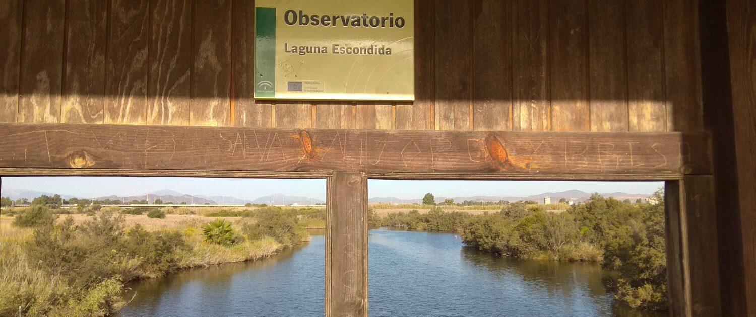 GUADALMARINA - Playa, Naturaleza y Ciudad