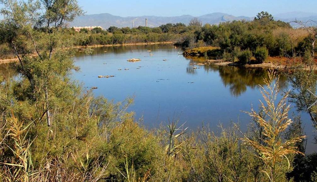 GUADALMARINA - Playa, Naturaleza y Ciudad