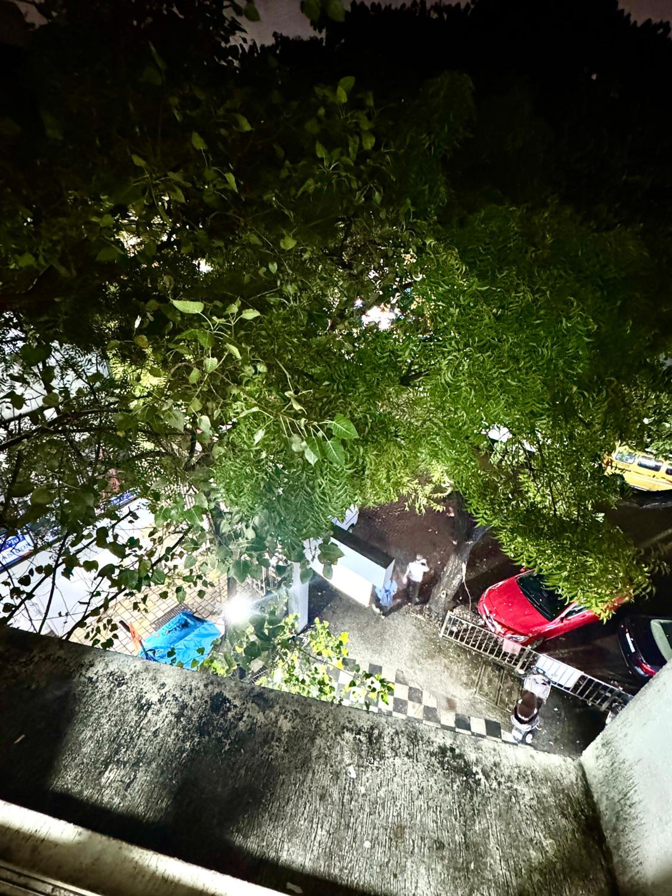 Entire apartment in Mumbai India view 5