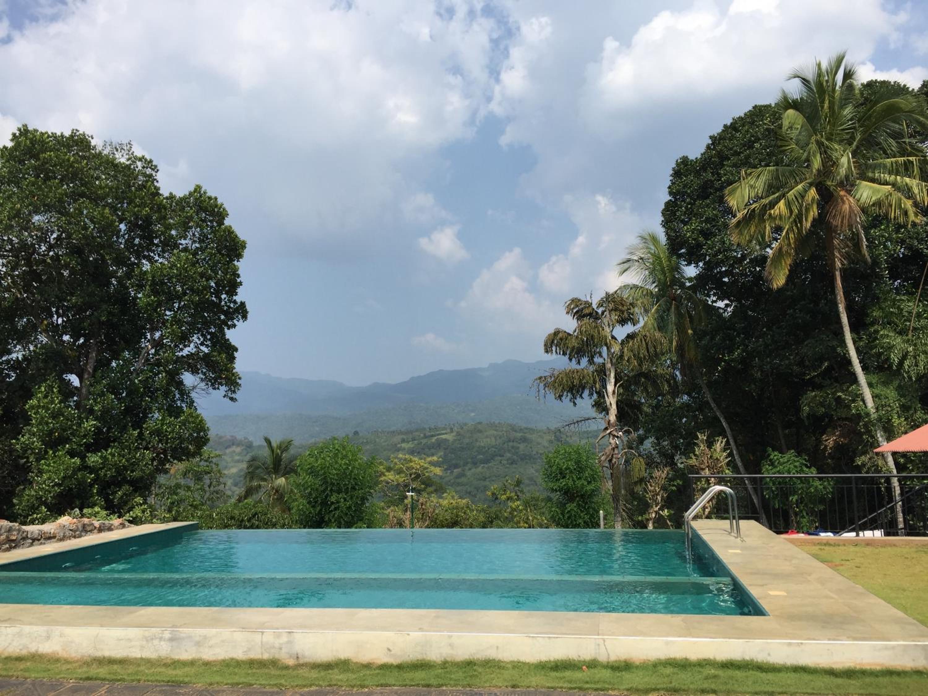 Paradise Forest Garden view 2