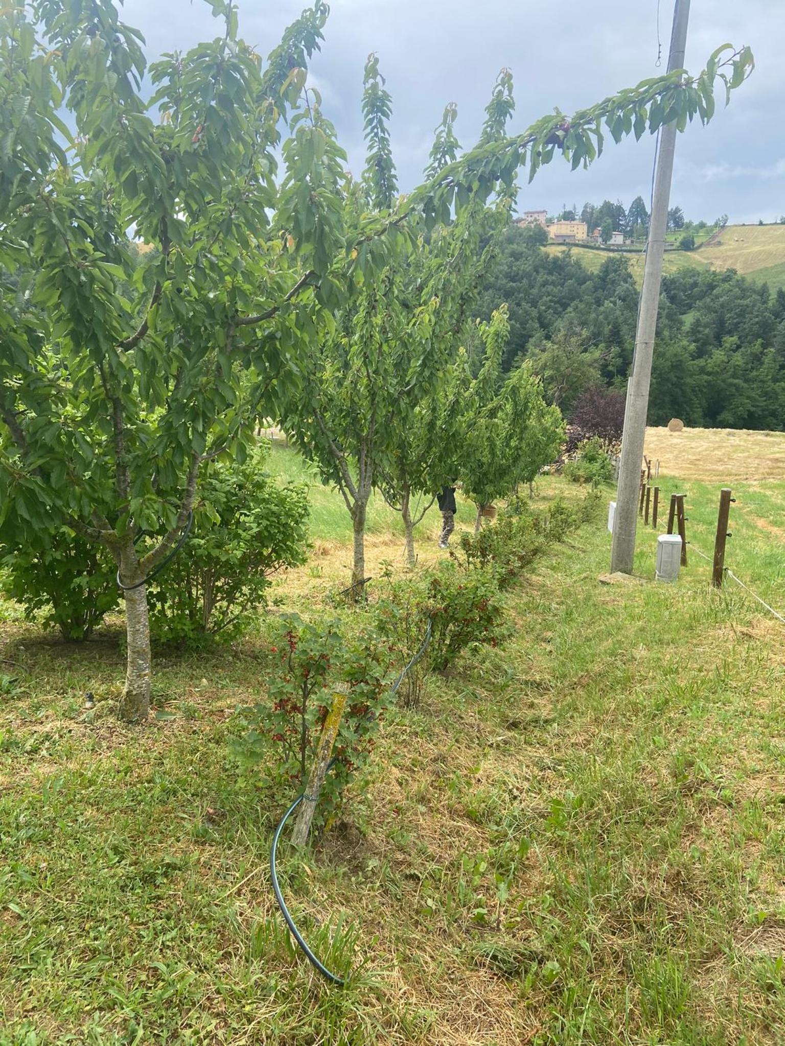 Agriturismo I Tassoni