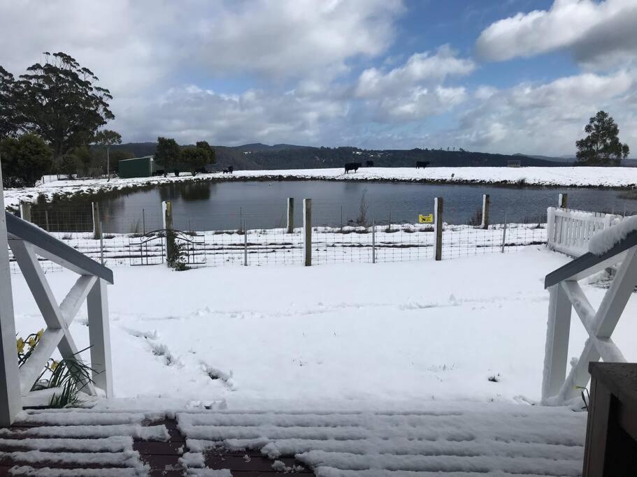 The Lake House, Highgrove- Quiet secluded comfort