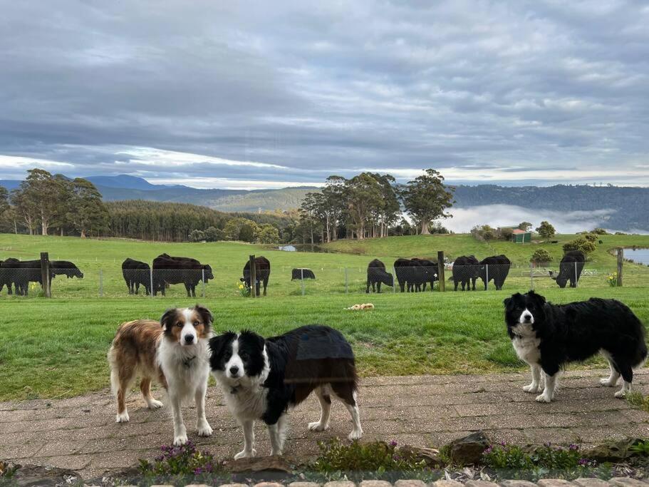 The Lake House, Highgrove- Quiet secluded comfort