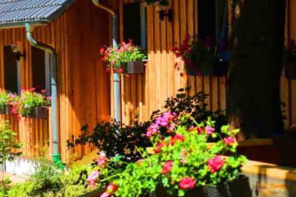 Ferienhaus Lilie Hof Stallegg