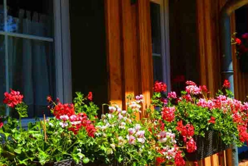 Ferienhaus Lilie Hof Stallegg