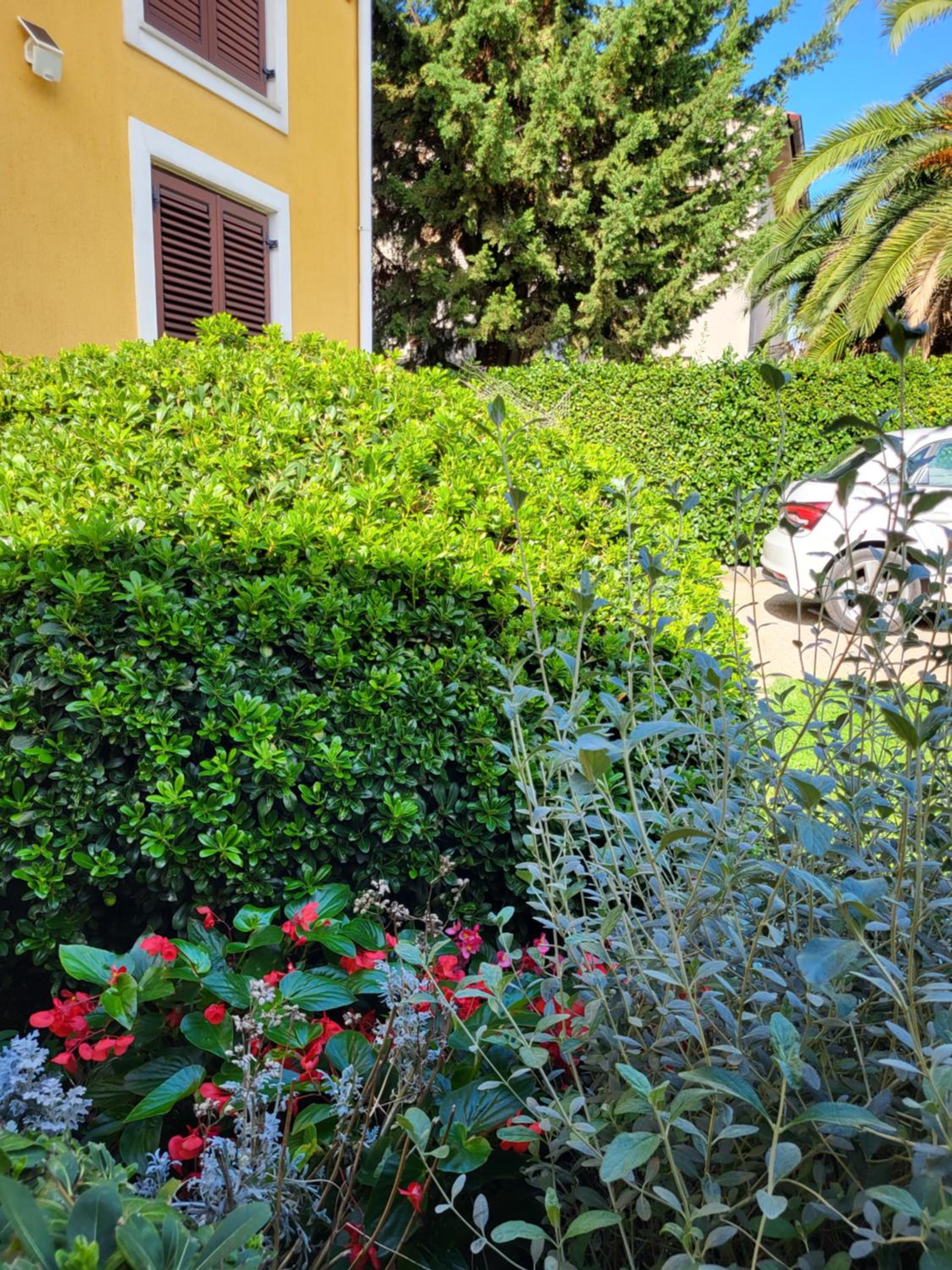 Photo 57